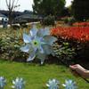 Decoration Deterrant Scare Off Spinner Holographic Pinwheel Bird Repellent Bird Blinder Windmill