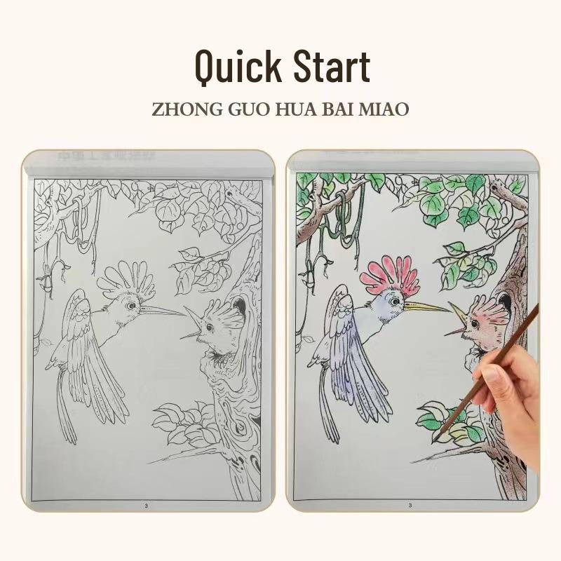 Children's Intro To Chinese Painting: Line Drawing & Coloring Book for Characters, Animals & Plants