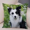 Cute Scottish Border Collie Pillowcase Dog Print  Decor Pet Animal Cushion Cover Sofa