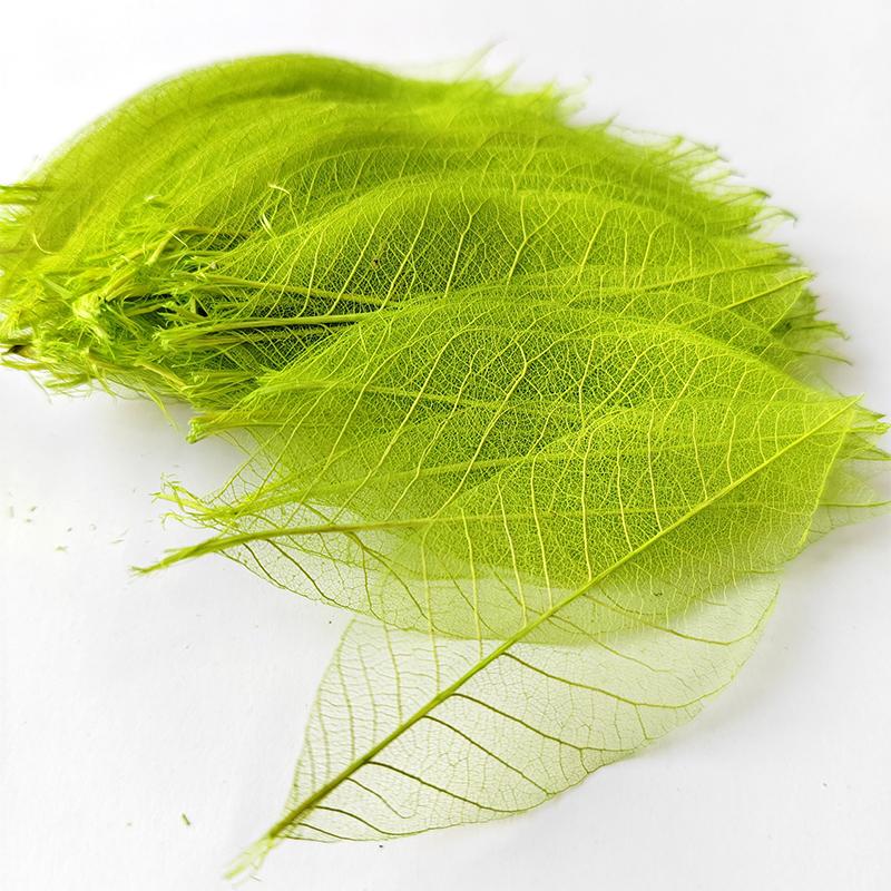 5~9CM*2~3.5CM,10PCS/Set,Real Dried Natural Vajra Leaf ,Pressed Dry Flowers Skeleton Leaves,DIY Wedding Decoration
