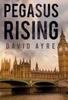 Pegasus Rising by David Ayre Paperback Book 9781800742024