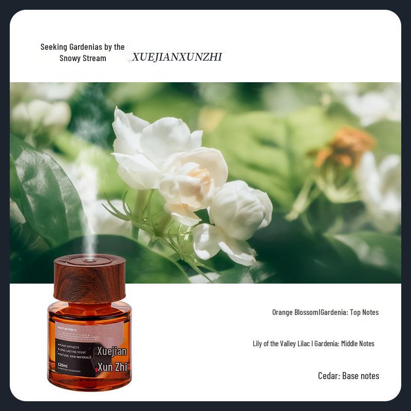 Premium Aromatherapy Car Spray: Long-lasting Fragrance and Purification