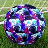 Harley Quinn Theme Size 5 Soccer Ball, Suitable for Both Indoor and Outdoor Matches, a Gift Suitable for Everyone.