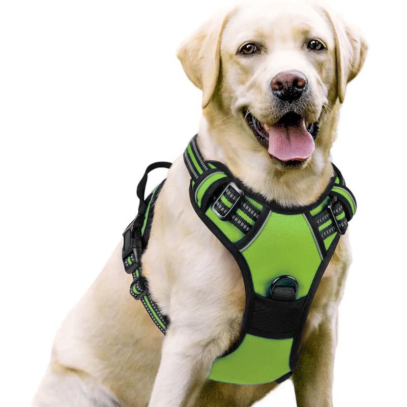 Dog Nylon Chest Harness and Leash for Large Pets