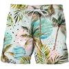 Parrot Palm Cocoanut Tree Beach Shorts Men Summer Short Pants 3D Flora Printed Board Trunks Swimsuit Woman 2023 Homme Ice Shorts