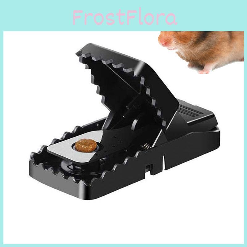 Durable And Reusable Plastic Mouse Traps For Effective Indoor Rodent Control