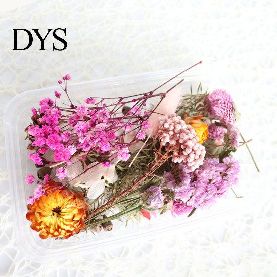 Sušené květiny Domácí fotografické rekvizity DIY ozdoba Řemeslný vzorek Příslušenství