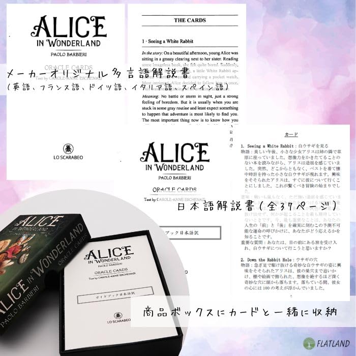 [Japanese Instruction Manual Included] Alice In Wonderland Oracle Cards, Authentic