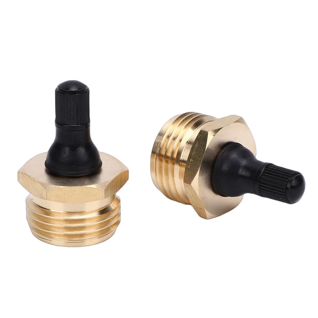 RV Winterizing Tool Replacement for Schrader Air Valve Brass RV Blowout Plug Adapter for Campers Trailers Water