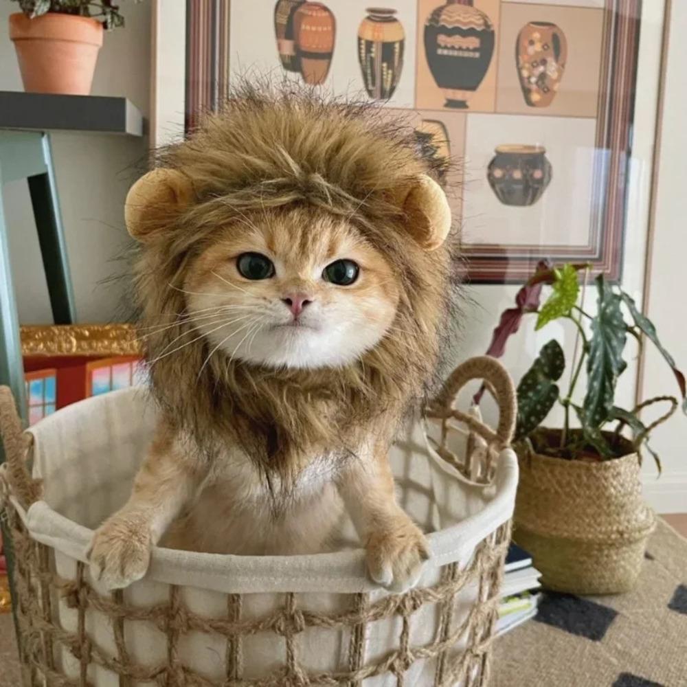 Pet Cat Hat Lion Head Cover Puppy Lion Wig Cat Cosplay Props Halloween Christmas Party Pet Dressing Up Supplies