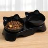 Slanted Double Pet Bowl & Water Dispenser for Cats and Dogs