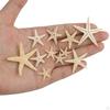 for Wedding Decor Beach Theme Party, Home Decorations,crafts, Fish Tank Landscape