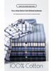 Camicia da uomo a righe in cotone Oxford a maniche lunghe con bottoni