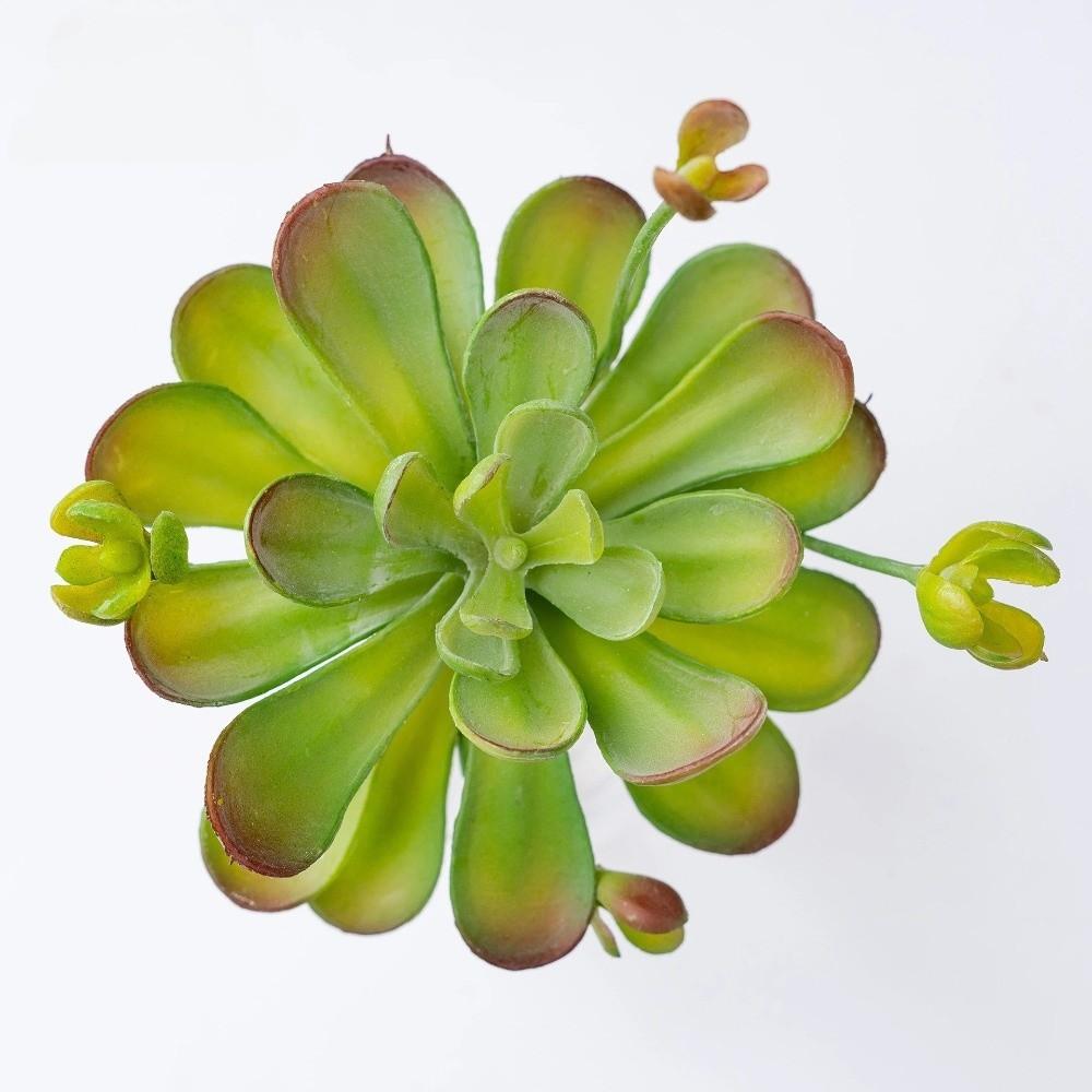 Lifelike Artificial Succulent Plant Real Touch Simulation Bonsai Plant  Home Office Decor