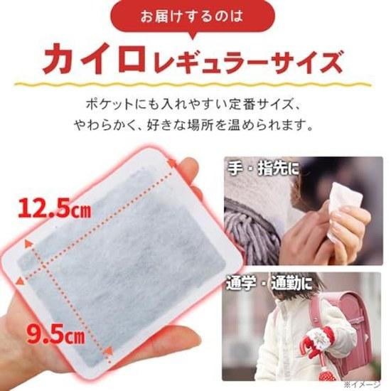 Iris Ohyama Disposable Kairo Non-adhesive Regular 60 Sheets Poka Family
