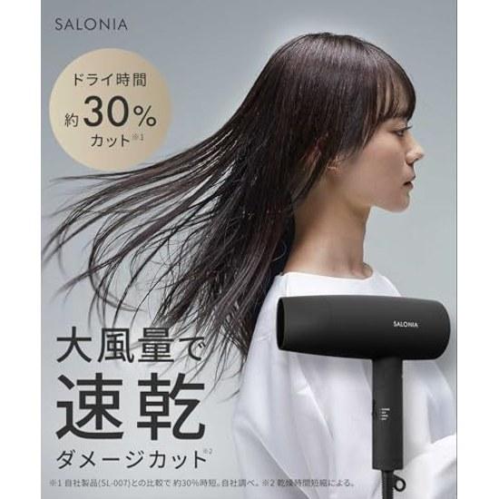 SALONIA Speedy Ion Dryer High Airflow Quick Dry Lightweight Negative Hair SL-013AGR Gray