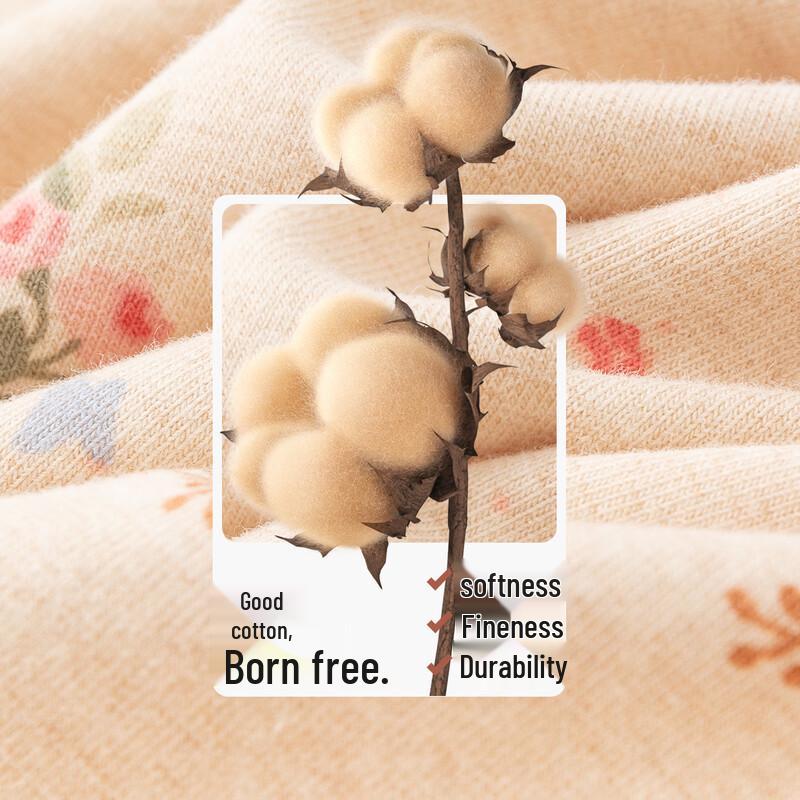 DingGuagua Women's Cotton Antibacterial Mid-Rise Briefs 4-Pack