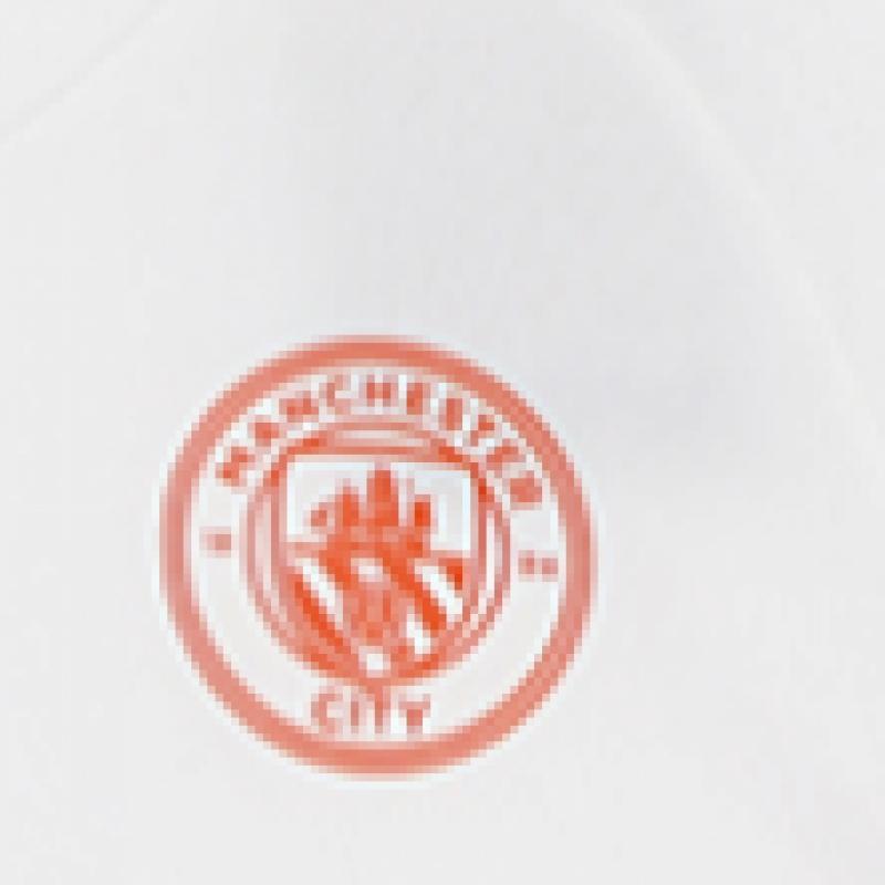 Puma Mcfc Man City Training Jersey