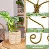 6 Stück Kletterpflanzen Stängelstütze Metall Garten Blume Weintrauben Rebe Pfahl Pflanzenstängel Befestigungsstützklammern