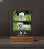 Custom Dog Photo Plaque Pet Memorial Gift with LED Light Pet Loss Sympathy Keepsake Personalized Remembrance Gift