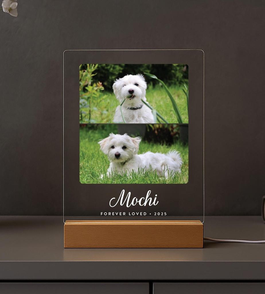 Custom Dog Photo Plaque Pet Memorial Gift with LED Light Pet Loss Sympathy Keepsake Personalized Remembrance Gift
