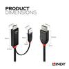 LINDY 2m HDMI 2.0 to DisplayPort 1.2 Active Cable with USB Power (Part Number: 41499)