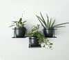 Jungle Hanging Wall Flower Stand, Modern Metal Holder for 3 Pots, Black, Horizontal