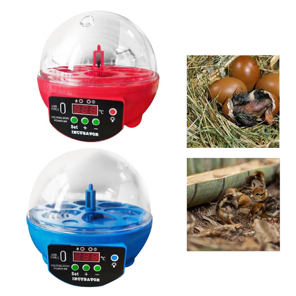 USB Egg Incubator Automatic Chick Incubator with LED Light Egg Display Small Egg