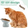 15-degree Inclined Anti-vomiting Tall Cat Food Basin Beard Protection Plastic Inclined Frame Indoor Pet Drinking Water Feeding