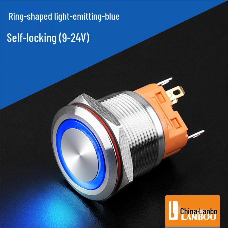 Lanbo 22A Stainless Steel Illuminated Self-Locking Momentary Push Button Elevator Switch