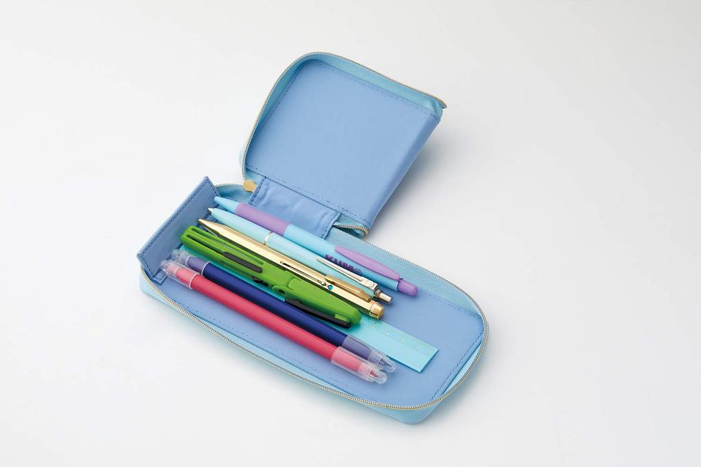 Raymay Fujii Patalino Medium Pencil Light FY375Q Case, Pink,