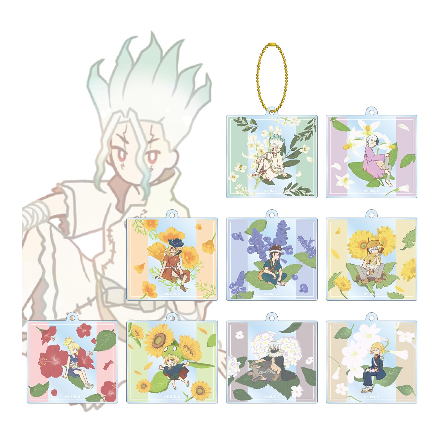 

TV Anime Trading Botania акриловый брелок коробка из 9 штук Dr.STONE
