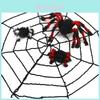 Kleurrijke Spinnen Halloween Decoratie Perfect Voor Spookachtige Binnen- En Buiten Spookhuis Decoratie