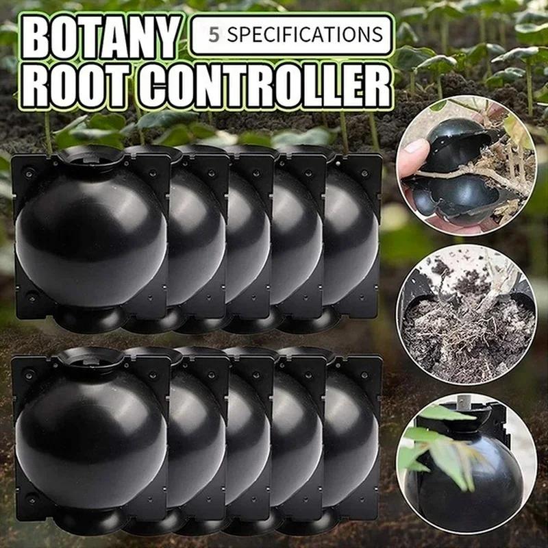 5Pcs Plant Rooting Ball Grafting Rooting Growing Box Breeding Seeding Case Container Nursery Box Garden Seeds Root