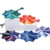 Printed Expanded Fidget Star with Handle Fractal Octagon Sensory Toy