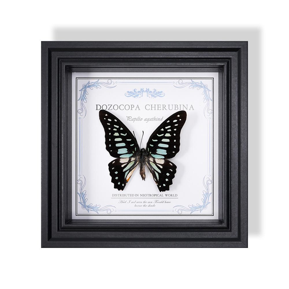Wall-Mounted Butterfly Specimen Photo Frame: Home Decor & Gift for Valentine's Day, Qixi, Birthday, Couples & Insect Lovers