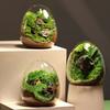 Succulent Plant Moss Glass Vase Egg Shape Fragile Glass Moss Bottle for Home Garden Ball Wedding Decor