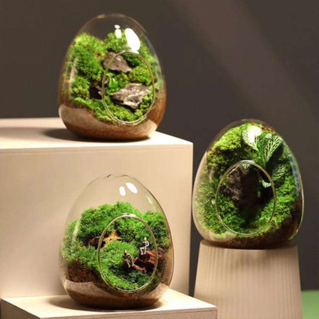 Succulent Plant Moss Glass Vase Egg Shape Fragile Glass Moss Bottle for Home Garden Ball Wedding Decor
