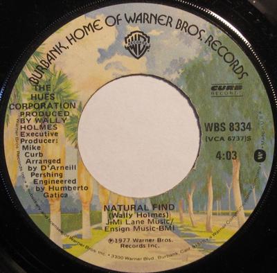 7inch Record HUES CORPORATION - I Caught Your Act / Natural Find WBS8334 Warner Bros. Re 1977 US Soul/Funk Used
