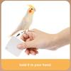 Auto Retractable Parrot Release Rope Adjustable Cockatiel Harness Leashes  Pet Accessories