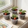 1/5Pcs Round Planter Pot Transparent Orchid Container Plastic Nursery DIY Planter Pot Seedling Cup Household Garden Supplies