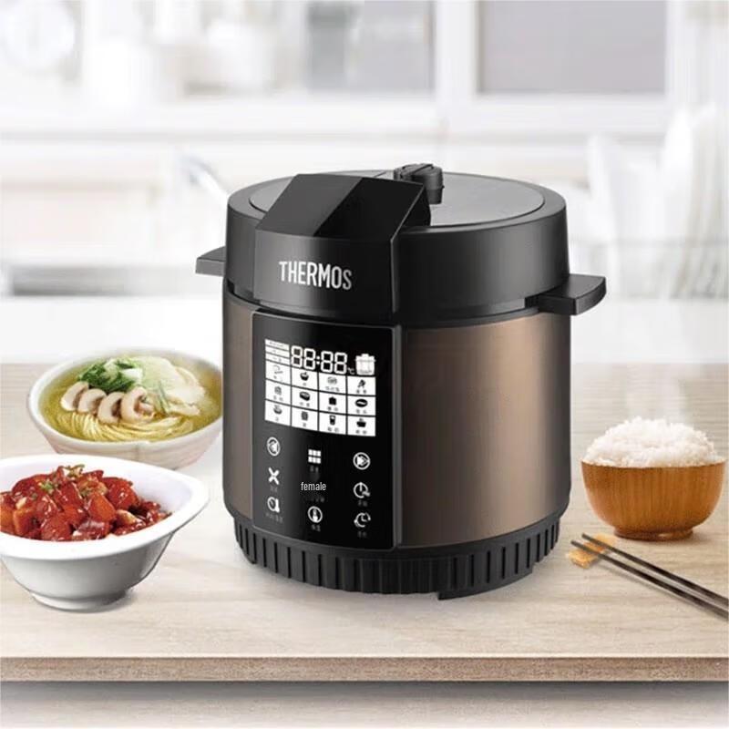 Thermos Smart Electric Pressure Cooker
