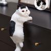 Decoration Realistic Cat Stuffed Doll Furry Hanging Lifelike Cat Plush Toy  Crafts