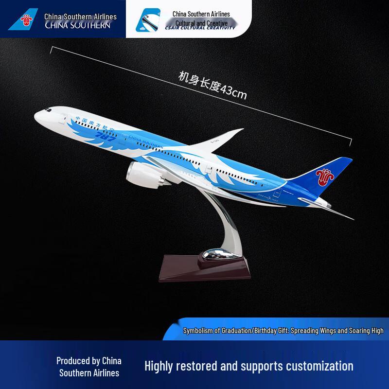 China Southern Boeing 787 Prototype Aircraft Model