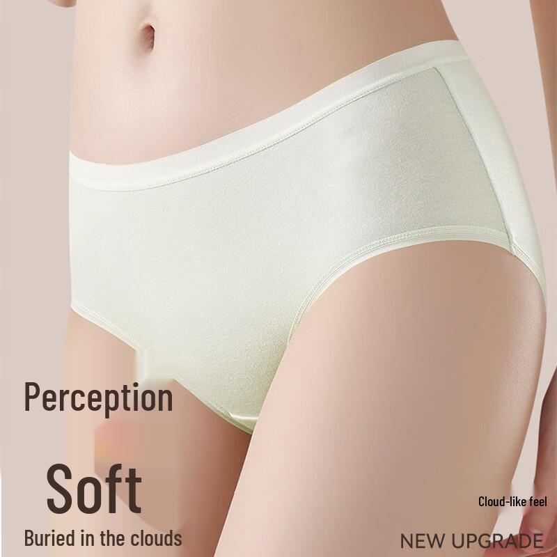 Women's Modal Cotton Antibacterial Seamless Underwear 4-Pack