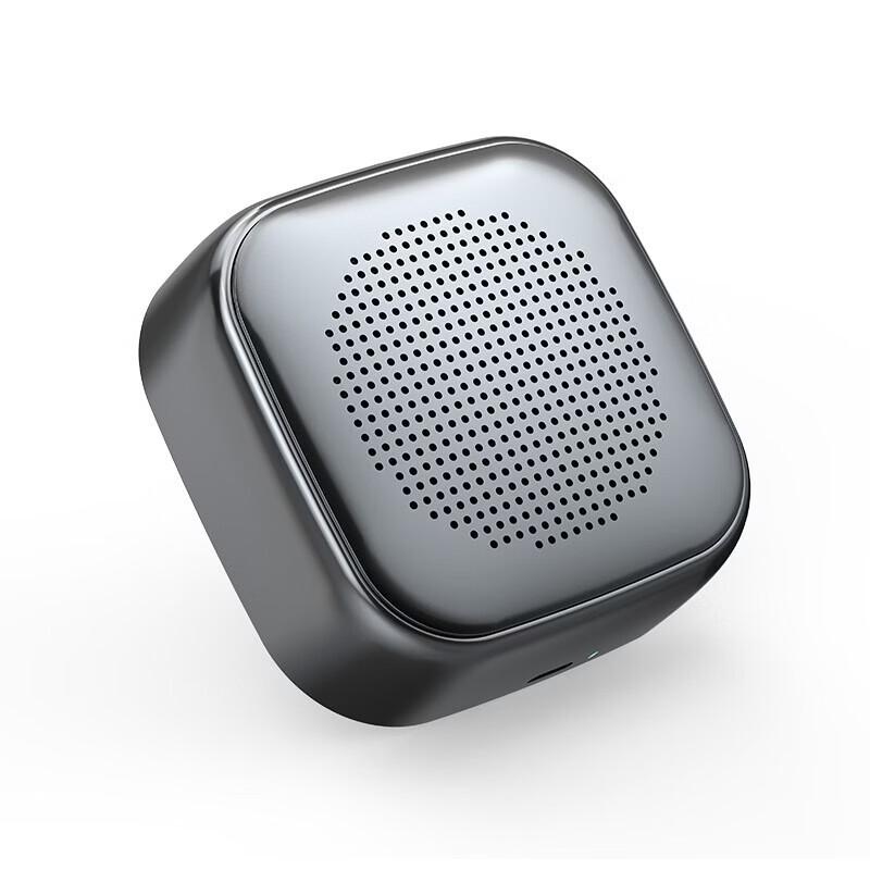 Newmine BT37 Portable Bluetooth Speaker CN plug (adapter included)
