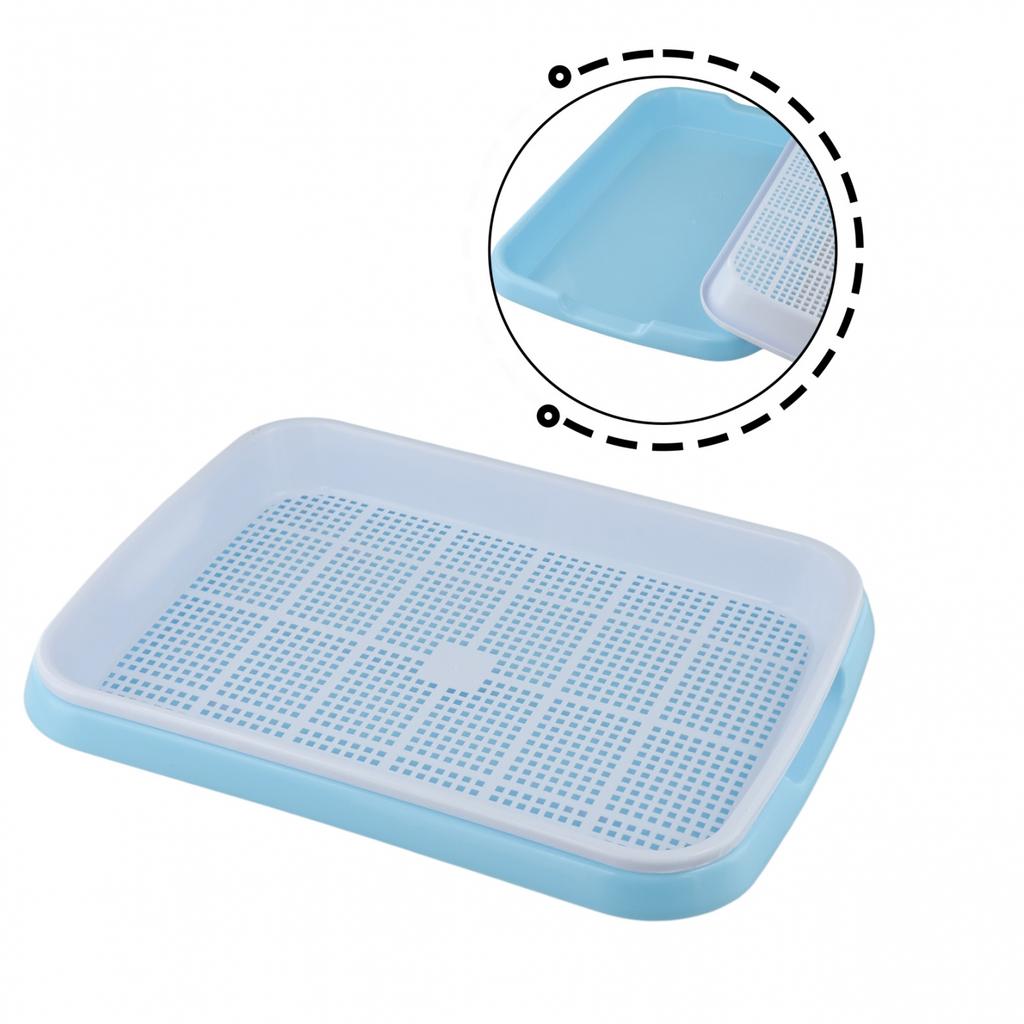 Tablett Leicht zu reinigen Keimschale Getreidekeimung