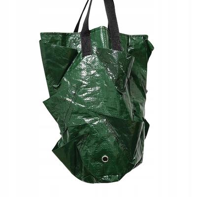 Flowerpot Cascade Bag Bag Vegetables Hanging Strawberries Strawberries Pockets