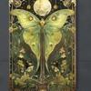 Vintage Style Metal Wall Art Luna Moth Moon Aluminum Flat Painting Outdoor Garden Decor