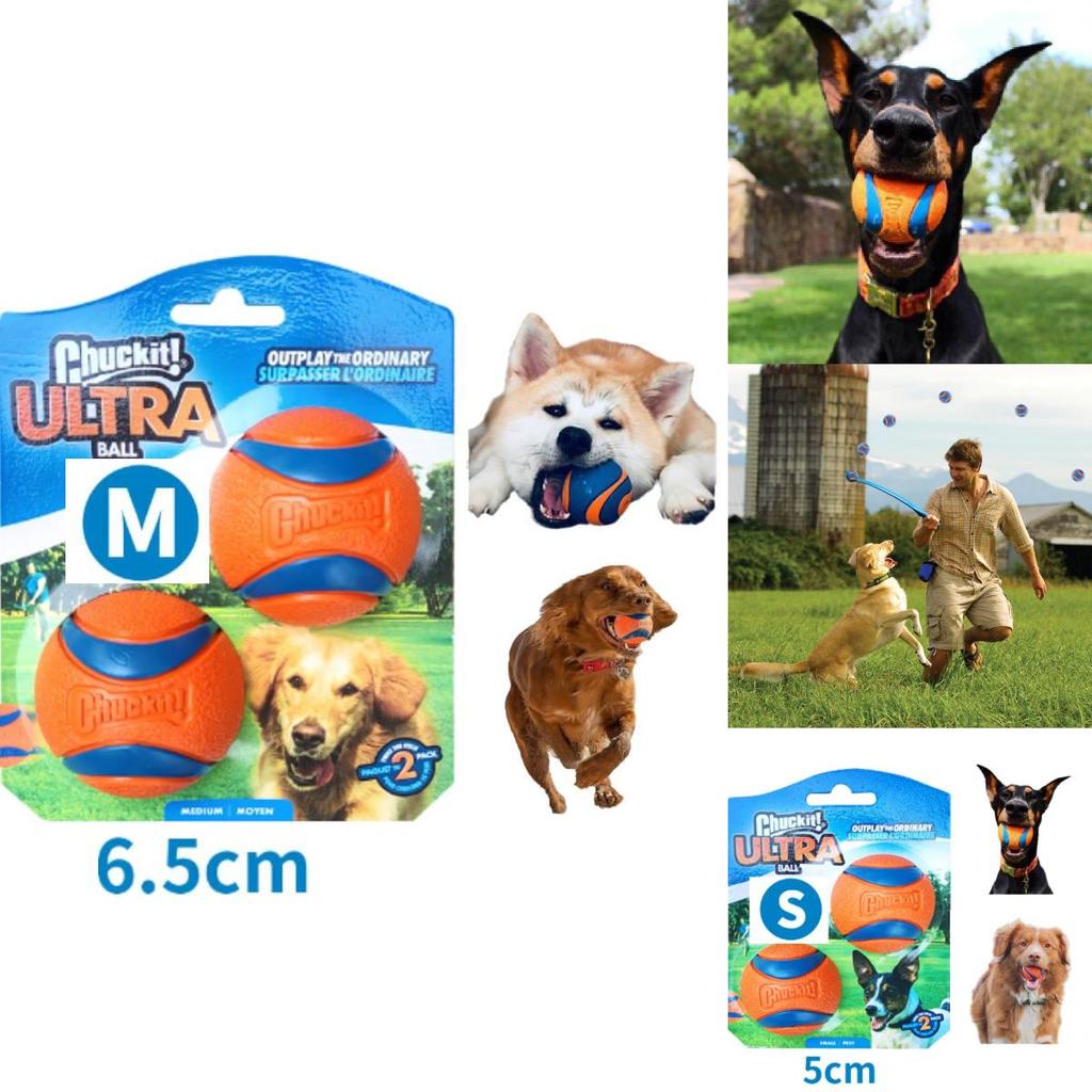 Chuckit Gummiball Medium Einzelpack Robustes Kauspielzeug Interaktives Geräuschspiel Haustier Hundespielzeug
